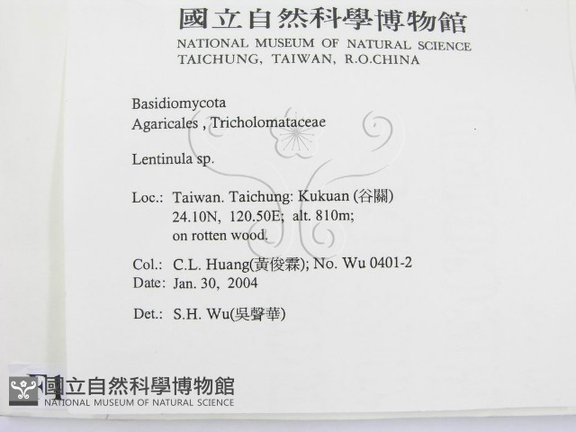 登錄號:F0016539藏品圖，第2張