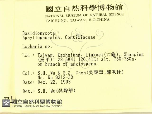 登錄號:F0001539藏品圖，第2張