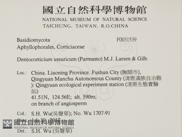 登錄號:F0031539藏品圖，第2張
