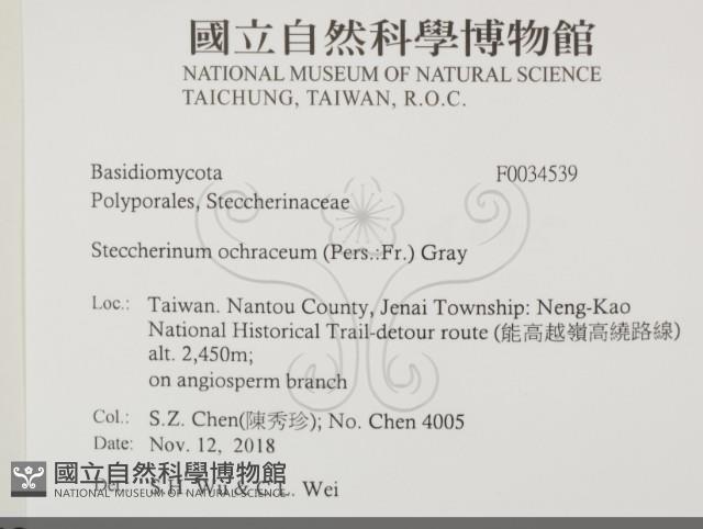 登錄號:F0034539藏品圖，第2張