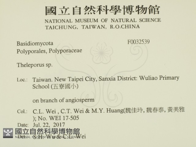 登錄號:F0032539藏品圖，第2張