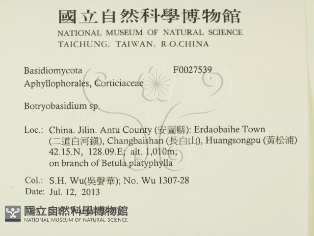 登錄號:F0027539藏品圖，第2張