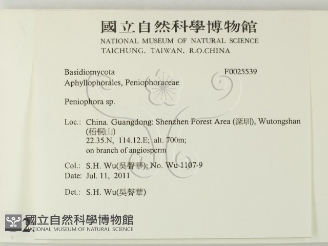 筍殼菌屬藏品圖，第2張