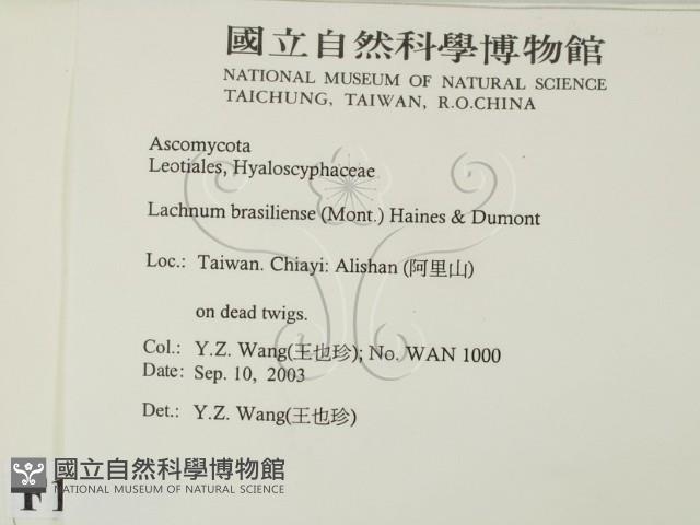 登錄號:F0015539藏品圖，第2張
