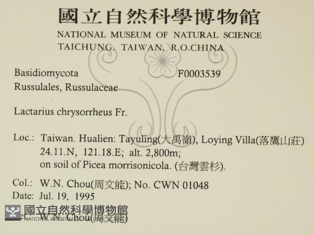 登錄號:F0003539藏品圖，第2張