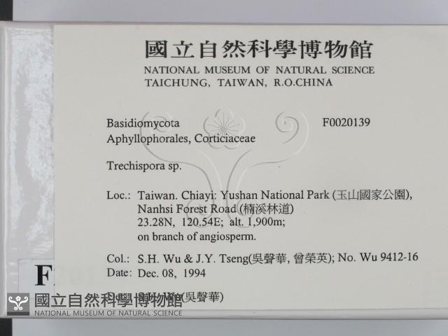 粗糙孢菌屬藏品圖，第2張