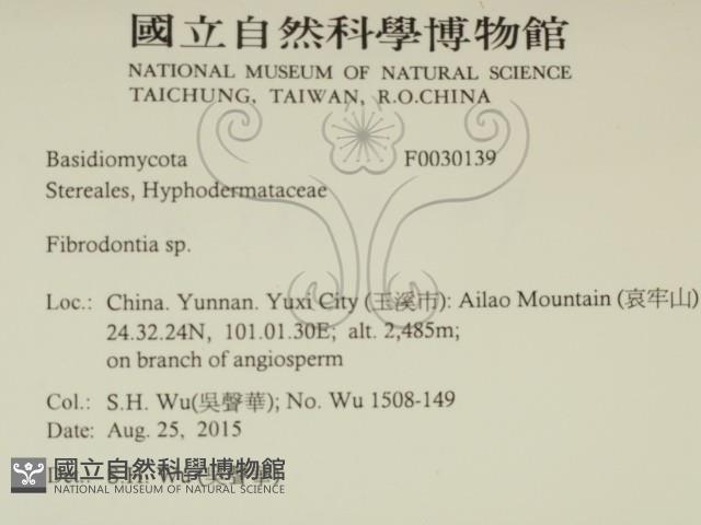 登錄號:F0030139藏品圖，第2張