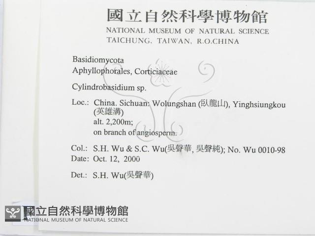 登錄號:F0012139藏品圖，第2張