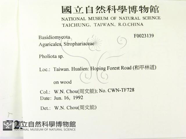 登錄號:F0023139藏品圖，第2張