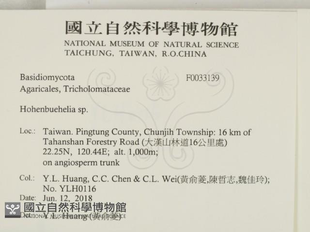 登錄號:F0033139藏品圖，第2張