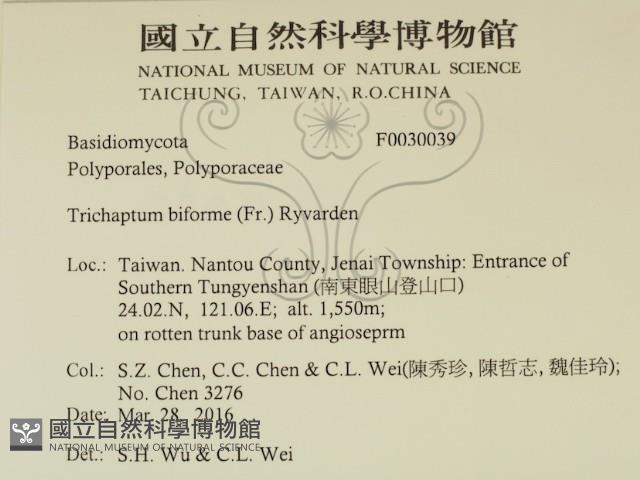 登錄號:F0030039藏品圖，第2張