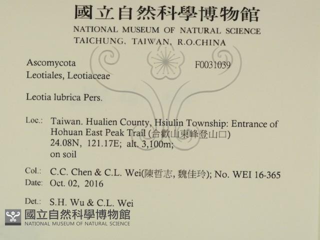 登錄號:F0031039藏品圖，第2張