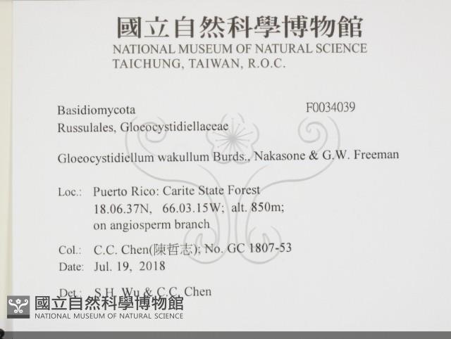 登錄號:F0034039藏品圖，第2張