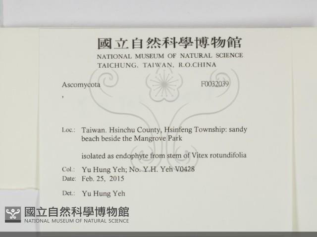 登錄號:F0032039藏品圖，第2張