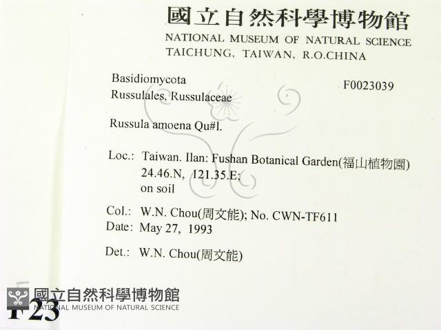 Accession Number:F0023039 Collection Image, Figure 2, Total 3 Figures