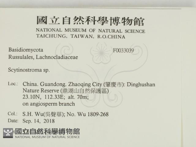 登錄號:F0033039藏品圖，第2張