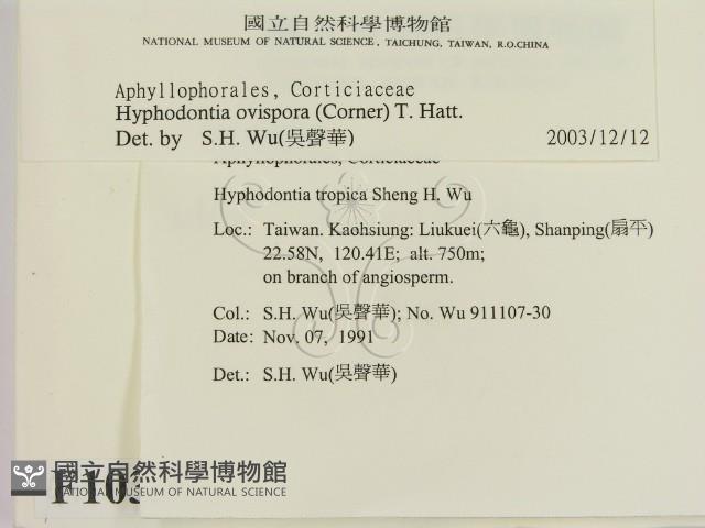 登錄號:F0010339藏品圖，第2張