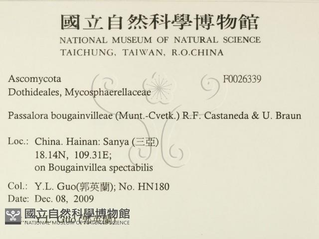 登錄號:F0026339藏品圖，第2張