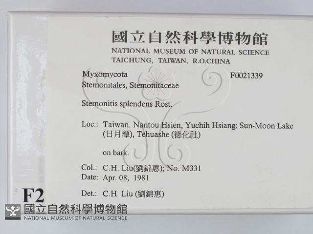 登錄號:F0021339藏品圖，第2張