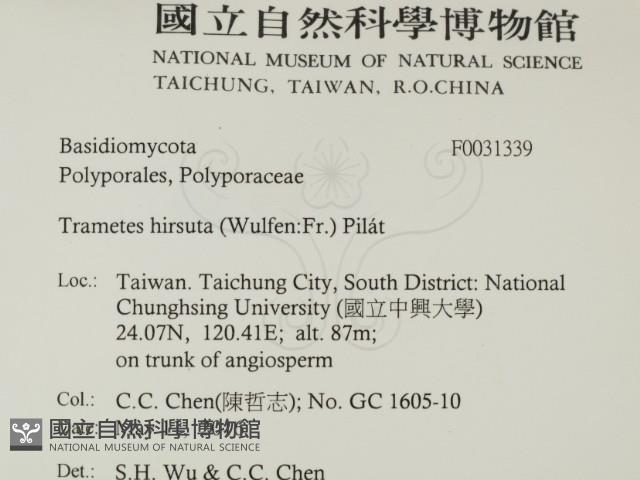 登錄號:F0031339藏品圖，第2張