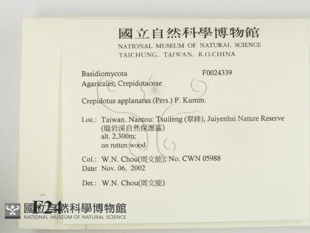 登錄號:F0024339藏品圖，第2張