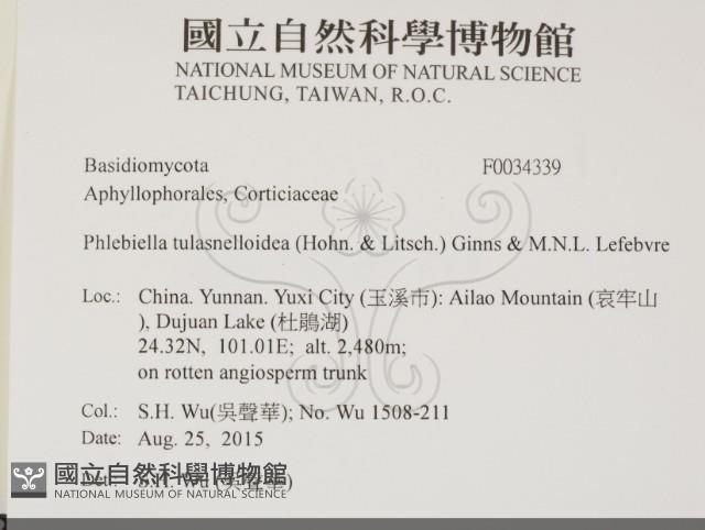 登錄號:F0034339藏品圖，第2張