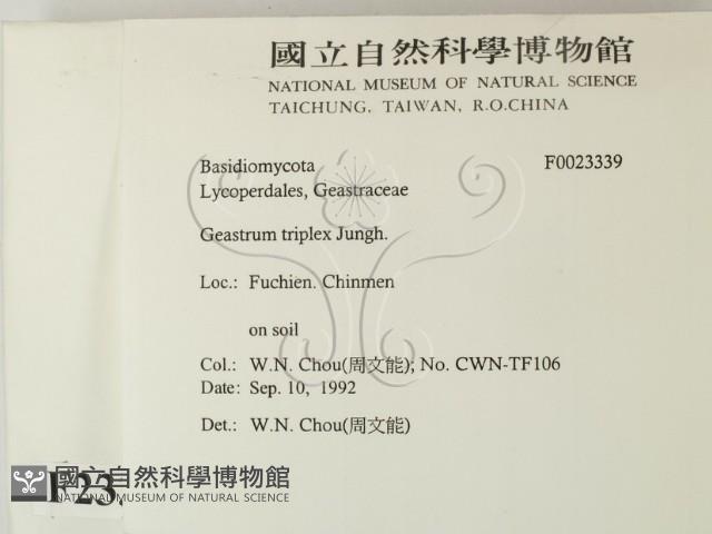 登錄號:F0023339藏品圖，第2張