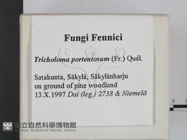 登錄號:F0008279藏品圖，第2張