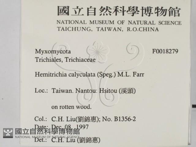登錄號:F0018279藏品圖，第2張