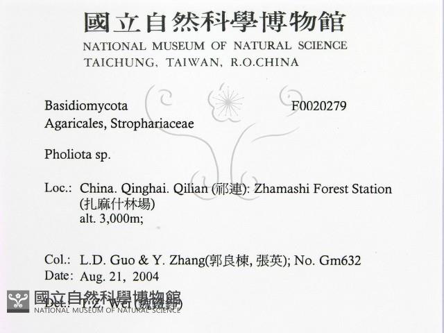 登錄號:F0020279藏品圖，第2張