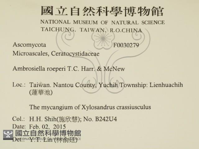 登錄號:F0030279藏品圖，第2張