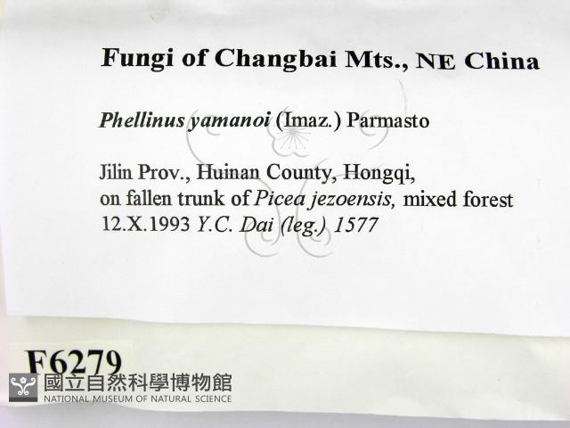 登錄號:F0006279藏品圖，第2張