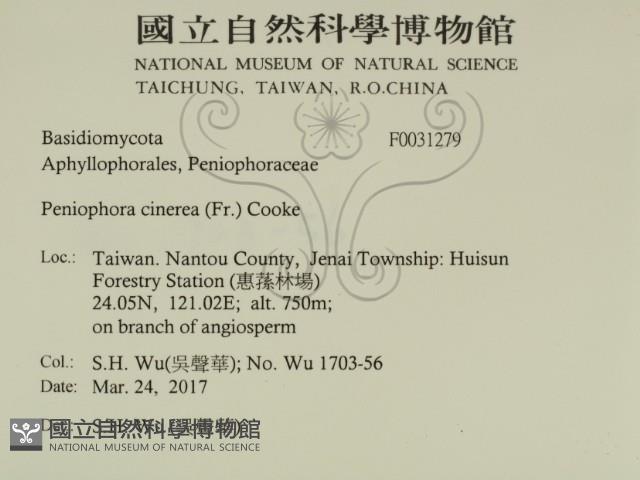 登錄號:F0031279藏品圖，第2張