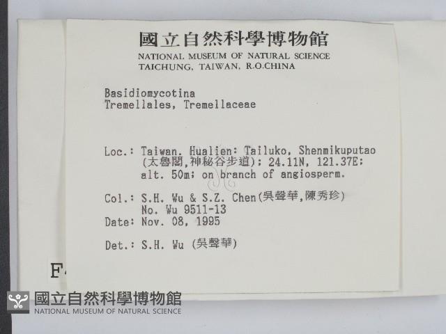 登錄號:F0004279藏品圖，第2張