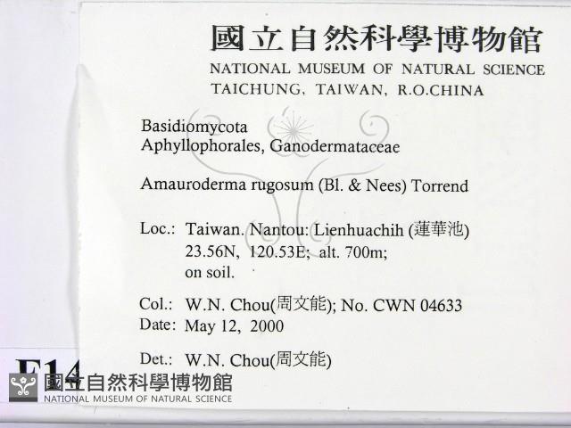 登錄號:F0014279藏品圖，第2張