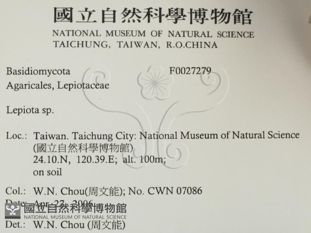 登錄號:F0027279藏品圖，第2張