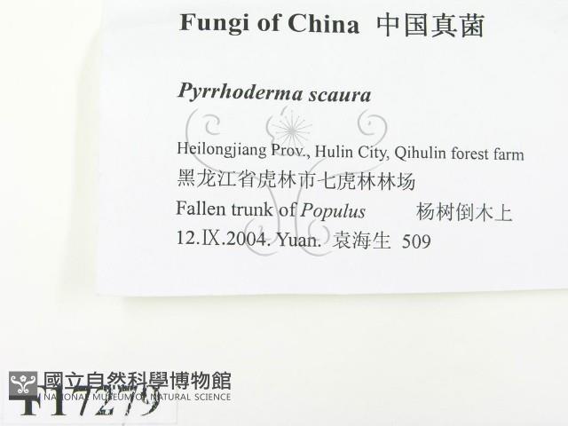 登錄號:F0017279藏品圖，第2張