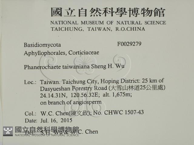 登錄號:F0029279藏品圖，第2張