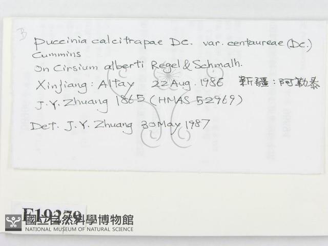 登錄號:F0019279藏品圖，第2張
