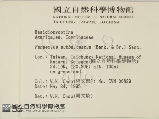 登錄號:F0003279藏品圖，第2張