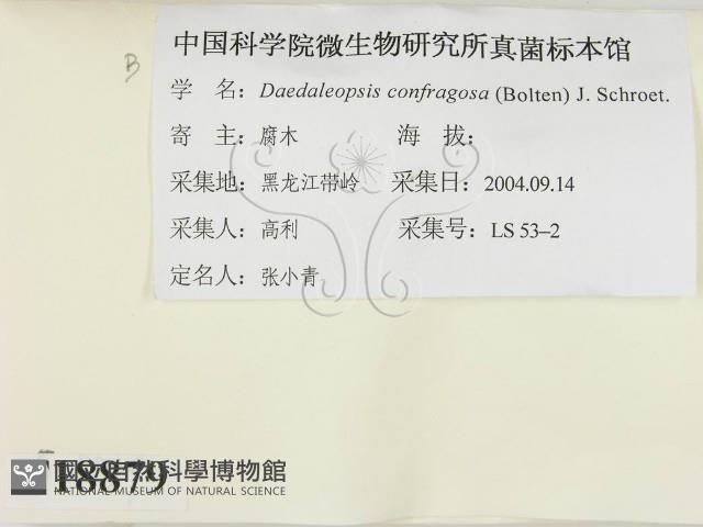 登錄號:F0018879藏品圖，第2張