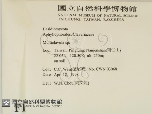 登錄號:F0010879藏品圖，第2張