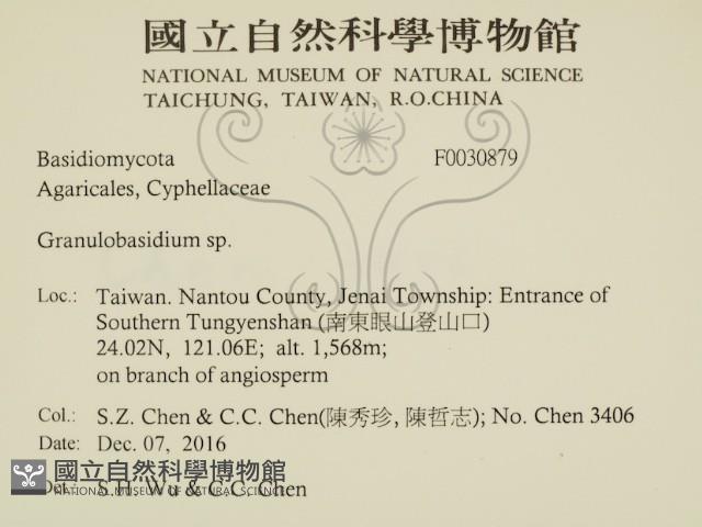 登錄號:F0030879藏品圖，第2張
