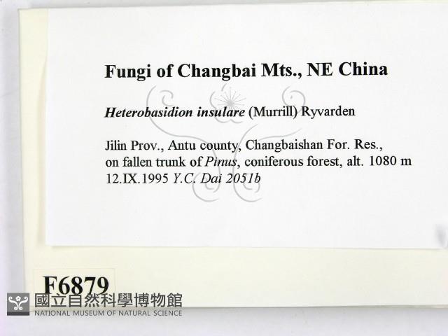 登錄號:F0006879藏品圖，第2張