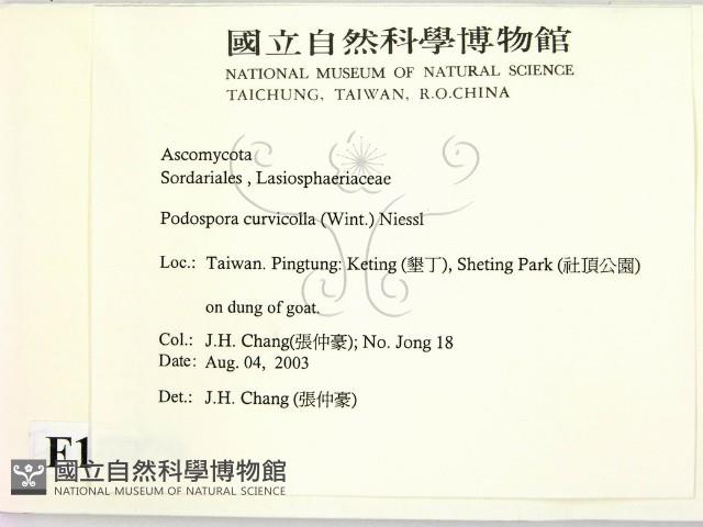 登錄號:F0016879藏品圖，第2張