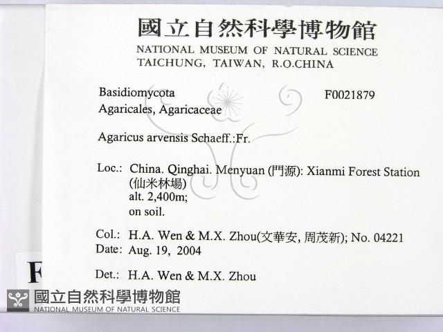 登錄號:F0021879藏品圖，第2張