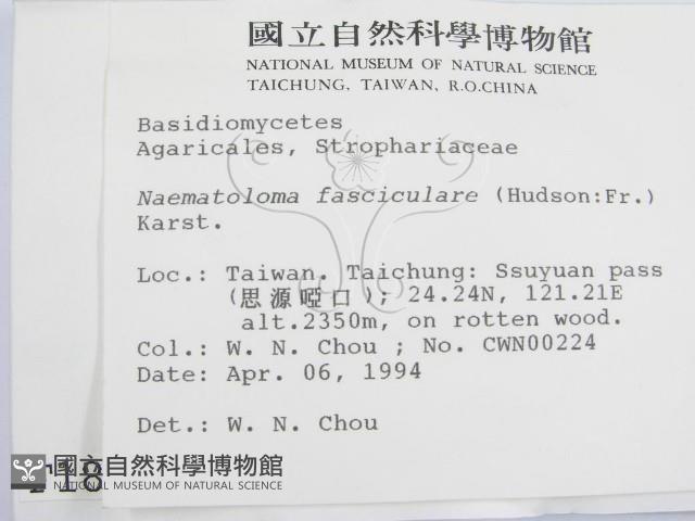 登錄號:F0001879藏品圖，第2張