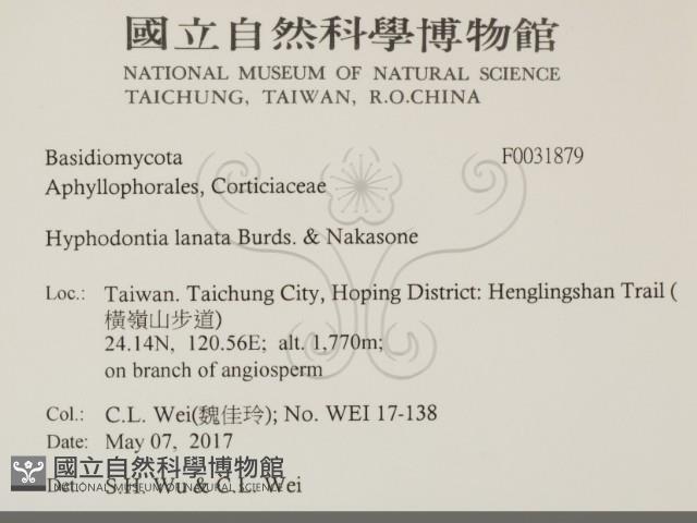 登錄號:F0031879藏品圖，第2張