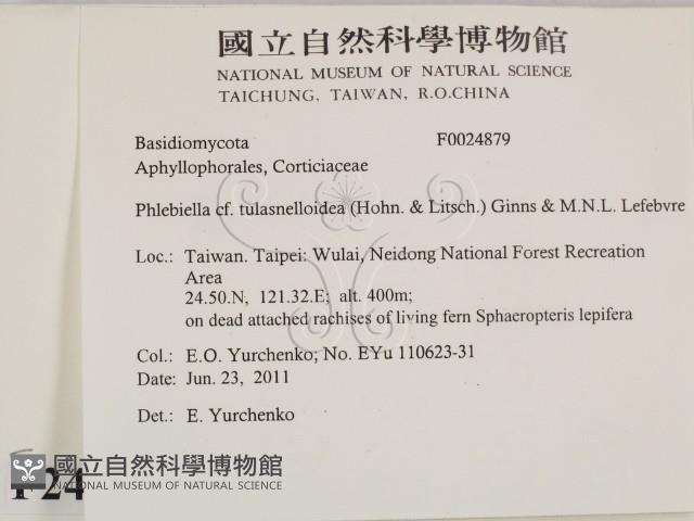 登錄號:F0024879藏品圖，第2張