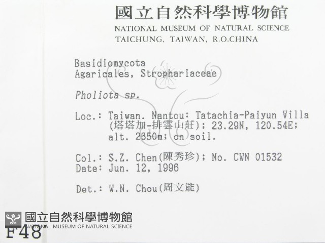 登錄號:F0004879藏品圖，第2張